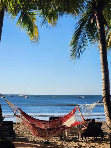 Hotel La Palapa — hotel in 25 Meters Norte de la Rotonda, Tamarindo CR, 50309