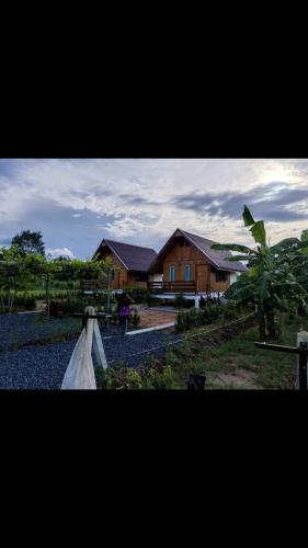 สวนเบอร์รีแคมป์ทนายจุฬา Berry Camp Korat