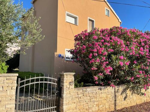 Apartments with parking space Privlaka, Zadar - 21749 - Location saisonnière - Privlaka