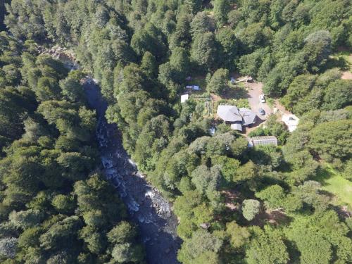 Pucón-Casa Manke-Palguin Alto - Bosque y Río