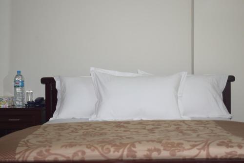 Hotel Olio Dream Heaven