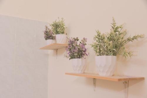 The Karaoke Homes Ipoh, Oldtown The Karaoke Homes Ipoh, Oldtown