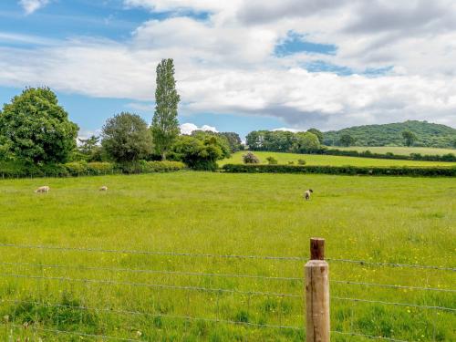 3 Bed in Hay on Wye 77381