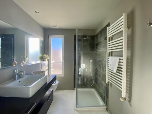 Penthouse Apartment image 10