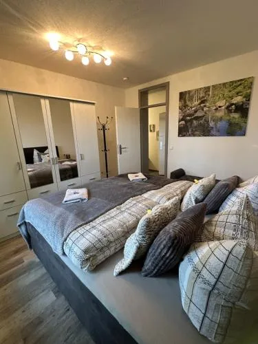 Harzer Traum - renoviert, inklusive Wäsche und WLAN in Braunlage, Deutschland
