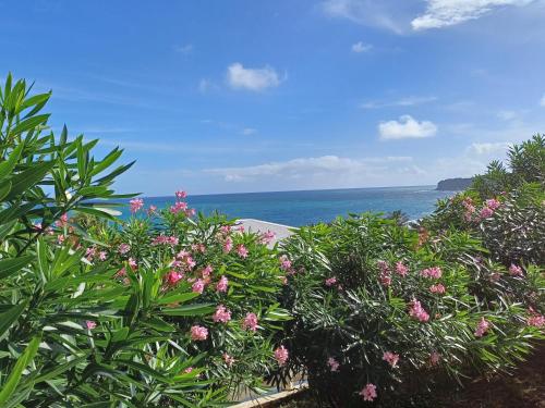 Apkārtne, P'tit Laurier in Le Marigot