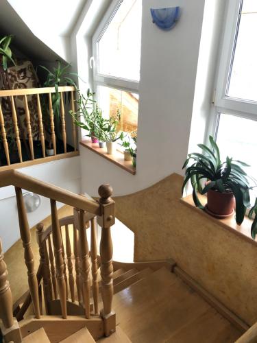 Penzion NATTY - s wellness přímo u sjezdovky (Penzion NATTY - s wellness primo u sjezdovky) in Cerny Dul