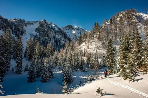 周邊環境, NaturparkResort Lodge 150 in 帕爾法烏