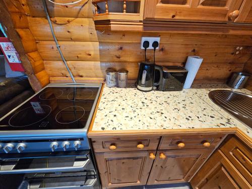 Cosy 2 bedroom Log Cabin in Snowdonia Cabin151 in Trawsfynydd