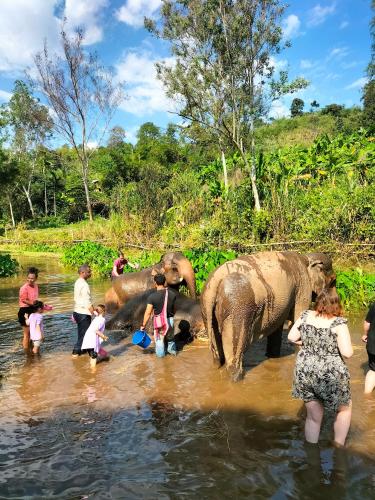 Chiang Rai Airport Homestay