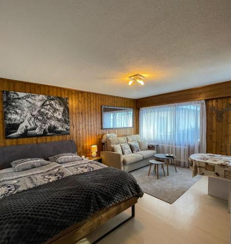  Jolie appart cozy, Ski in Ski out in Veysonnaz