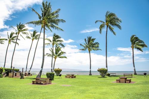 Molokai Shores - image 10