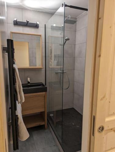 Superbe appartement sur le front de neige Superbe appartement sur le front de neige