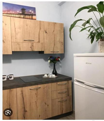  Mono DD CHECKIN A RICHIESTA in Parma