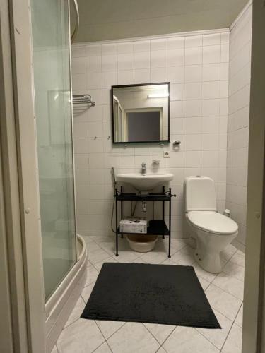 Apartment in Gediminas avenue, Vilnius city centre, Vilnius (foto 10)