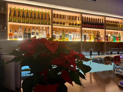 Amantis Vital Sport Hotel – Desna, IN
