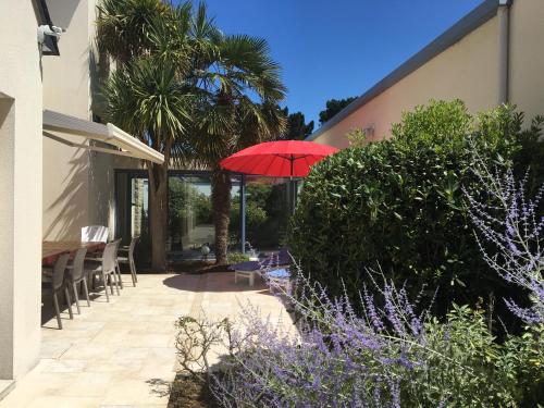 Les Palmiers - image 7