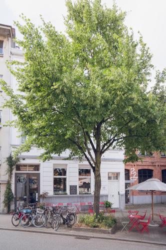 22b&b - image 14
