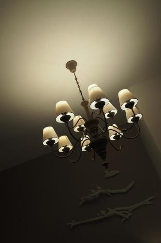 Terrazzani Suite - image 2