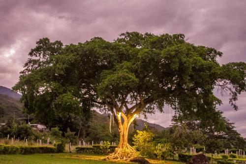 Encantadora finca con viñedos en Rivera Huila