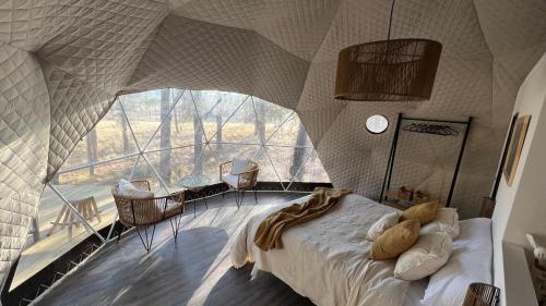 Deer Glamping - Hotel - Ciudad Lujan de Cuyo