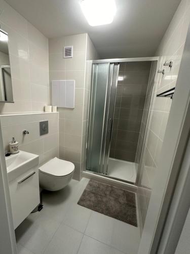 Apartmán Kovářská u Klínovce - image 8