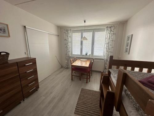 Apartmán Kovářská u Klínovce - main image
