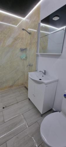 Roman Residence in Roman