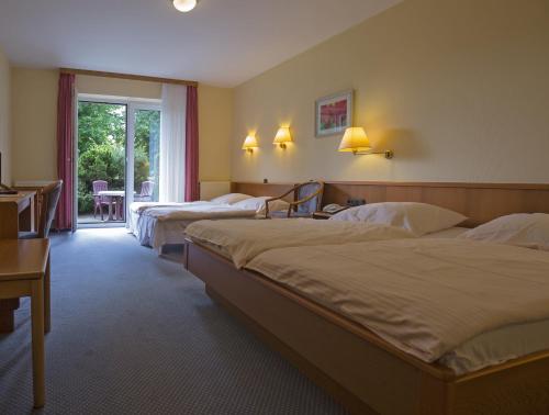 2 queen beds, 2 sofa beds