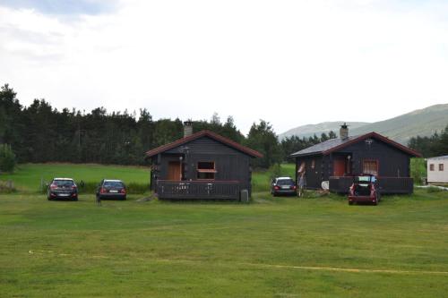 Mogard - image 7