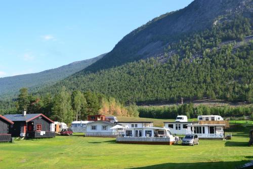 Mogard - main image