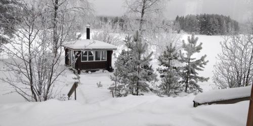 Lomaniemi Mäntylä Tahkovuori (Lomaniemi Mantyla Tahkovuori) in 尼爾西艾