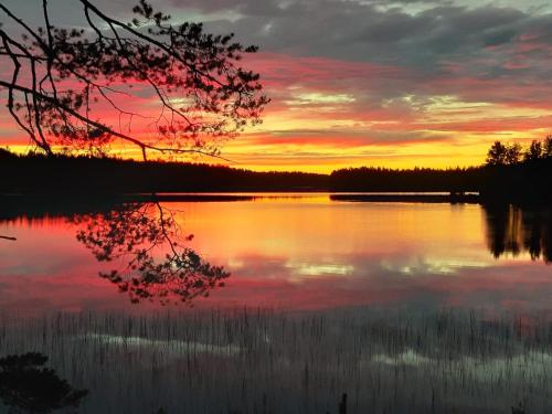 Lomaniemi Mäntylä Tahkovuori