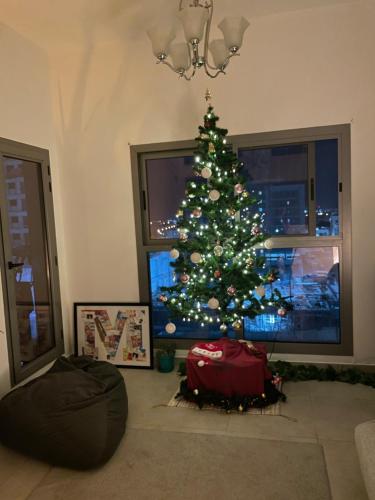 Burj Khalifa view/ Cozy apartment, Dubai (Foto 5)