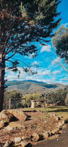 Savvanah Farmstay family friendly home with stunning views and spa