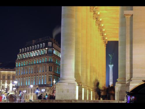 Bordeaux charming center, Бордо (фото 10)