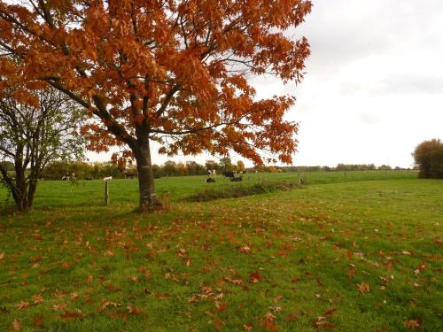 Gîte Montreuil-le-Henri 5 pièces 10 personnes - FR-1-410-184 - image 5