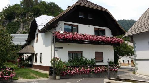 Apartments Gregorc 1