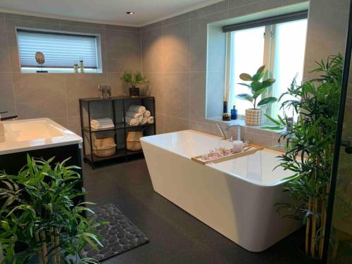 Private house in Orkanger, 35 minutes from Trondheim in Оркангер