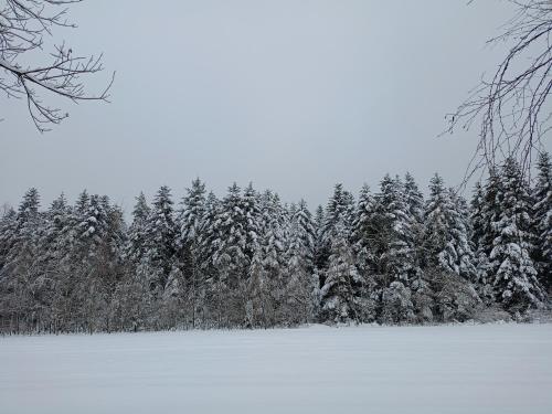 Apkārtne, Chata Miła Agroturystyka (Chata Mila Agroturystyka) in Jaslo