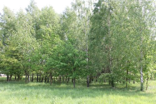 Chata Miła Agroturystyka (Chata Mila Agroturystyka) in Jaslo