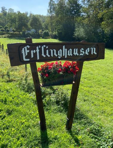 Ferienhaus Glückspilz beim Hennesee