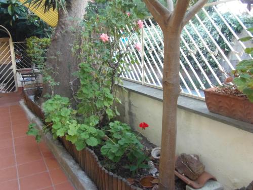 B&B Il Parco - image 5