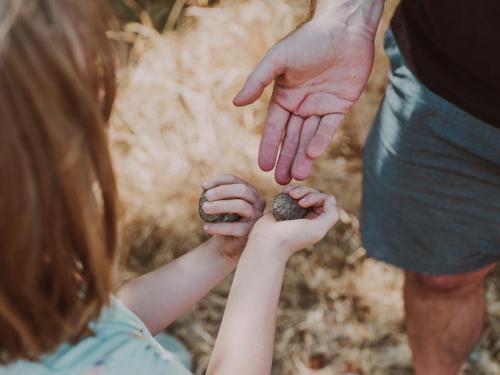 Agriturismo Pompilia