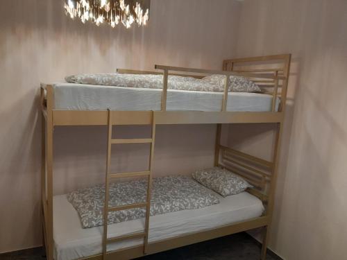 Deluxe Central Apartment, Liubliana (foto 7)