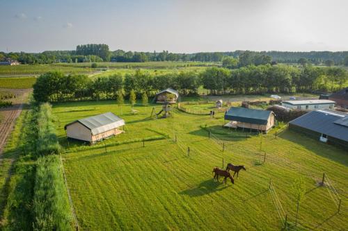  Hoeve Klein Haneveld in Sint-Oedenrode