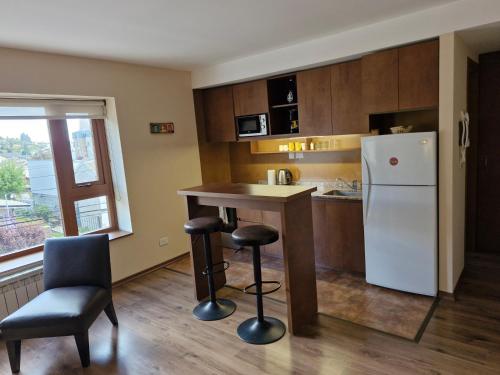 Kitchen, Alto Rolando Apartamentos in San Carlos de Bariloche