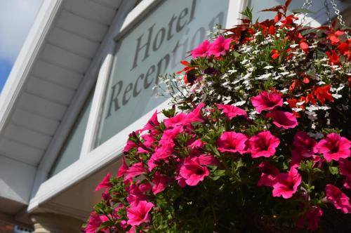 The Westlynne Hotel & Apartments - image 7