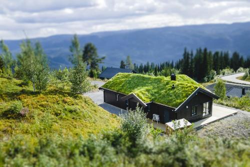 . Chill cabin - fantastic view and nice hiking area