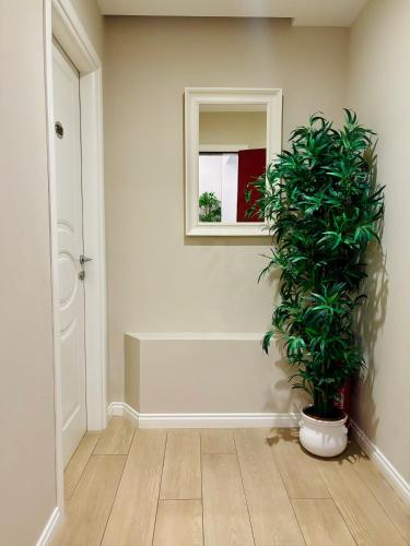 Les Suites Bari B&B - image 6
